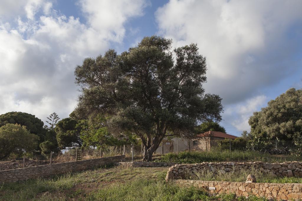 Dialiskari Villas Marathopoli Extérieur photo
